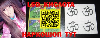 шишки Кандалакша