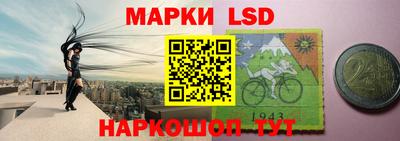 шишки Кандалакша