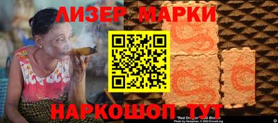 шишки Кандалакша