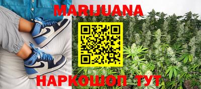 прущие крисы Камышлов