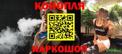 прущие крисы Камышлов
