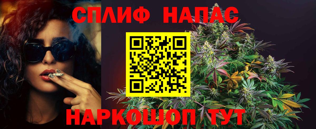 Бошки марихуана сатива  Вход с VPN  Краснодар  МАРИХУАНА сатива  Канабис семена 